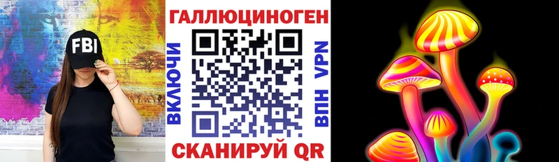 Купить где  Чебаркуль  Галлюциногенные грибы Psilocybe 